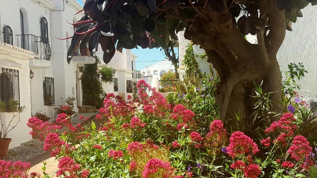 Apartamento Capistrano Village נרחה מראה חיצוני תמונה